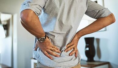 The causes of back pain